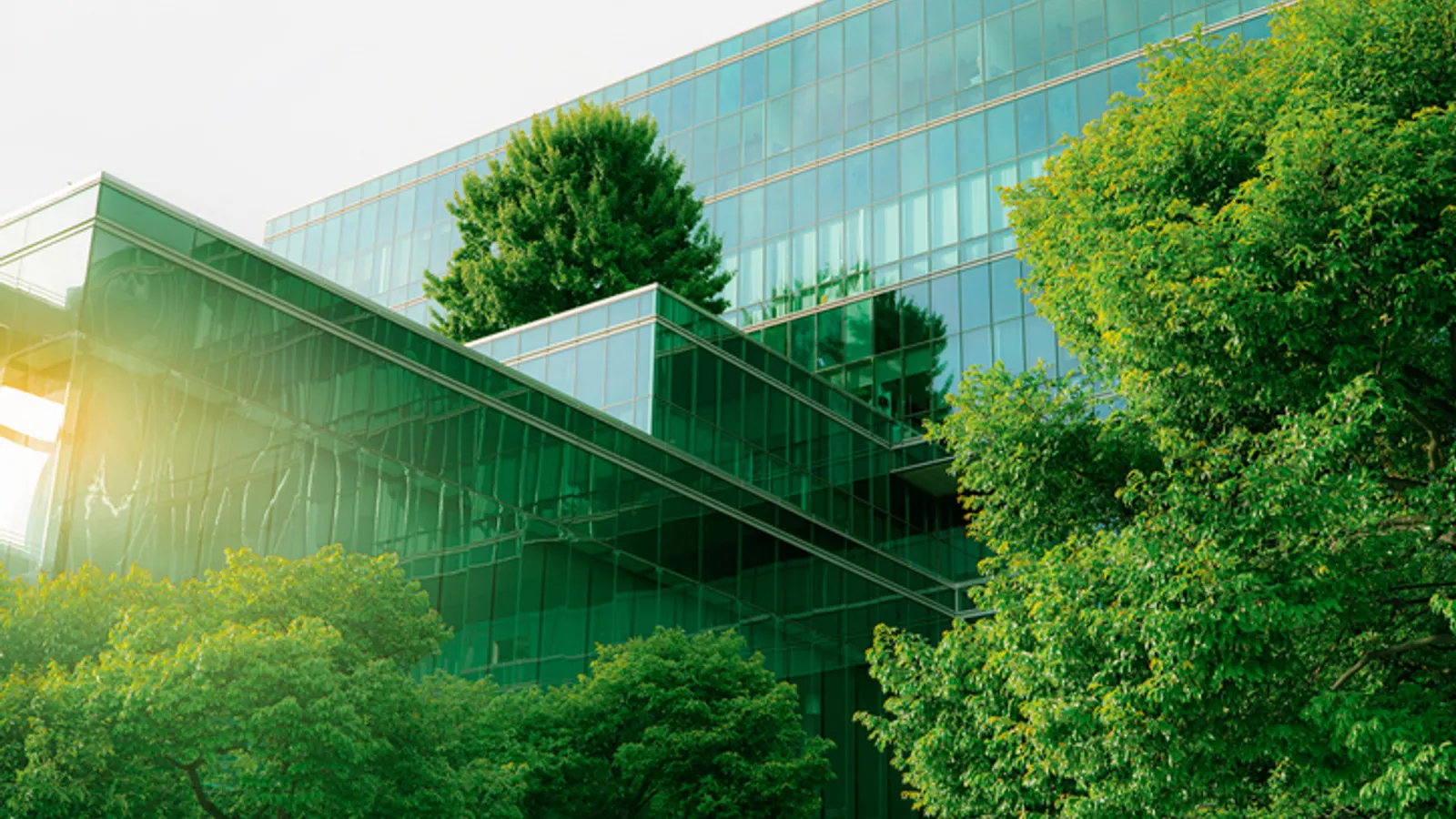 BREEAM Sees Strong US Growth as Sustainability Certification Demand Rises